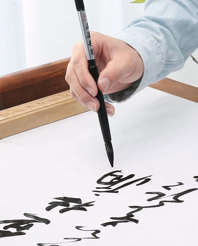Easyou Calligraphy Painting Sets for Japanese Chinese Calligraphy Practice Beginner Updated - Image 3